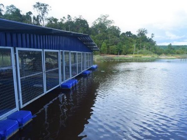 2026年马来西亚国立大学春季入学指南：资格要求和申请窍门