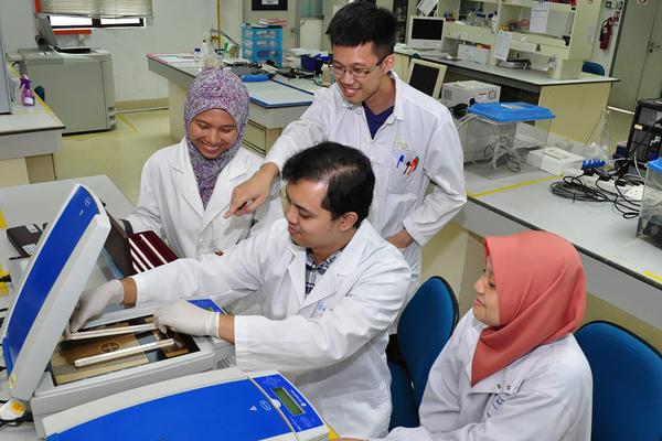 马来西亚国立大学公共管理硕士指南：专业优势与申请要点