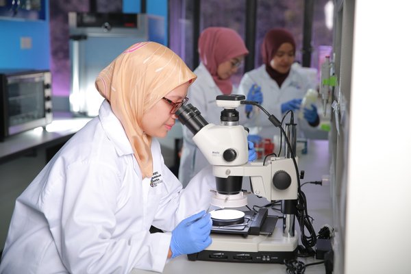 马来西亚国立大学英语语言研究专业：留学申请全攻略