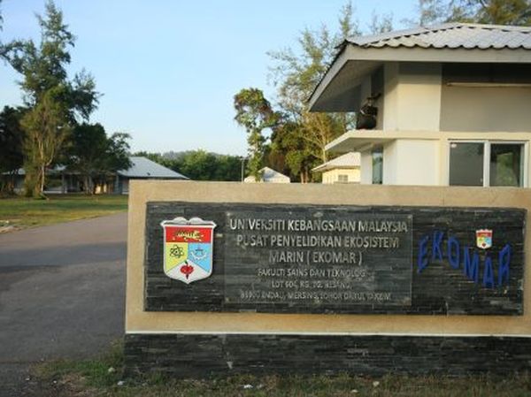 马来西亚国立大学热门专业推荐：国际学生选择指南