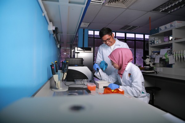 马来西亚国立大学教育学专业全解：热门课程与师资力量揭秘